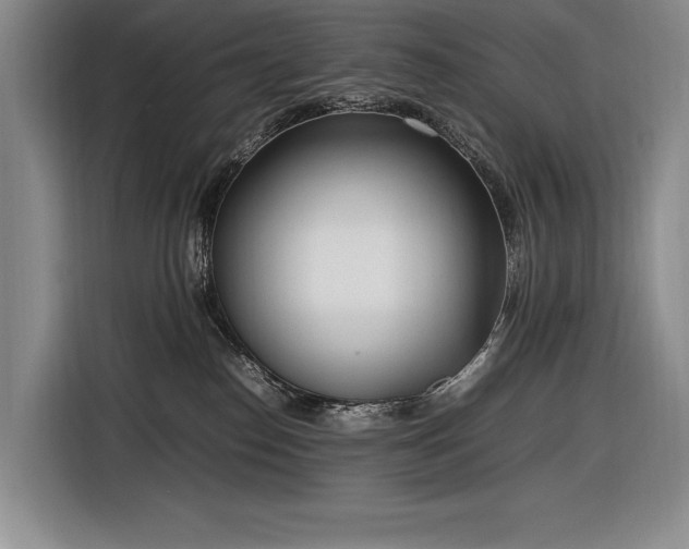 X0000116880186200912221433
