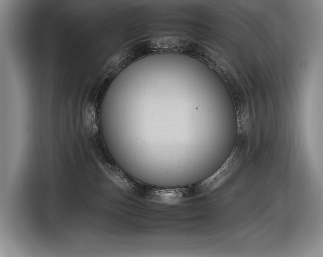 X0000116880187200912221433