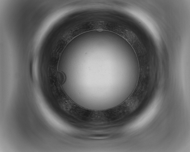 X0000116880189200912221433