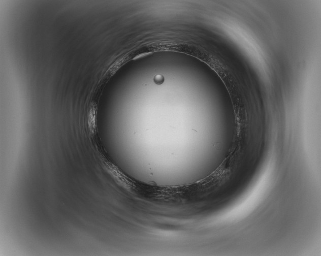 X0000116880190200912221433