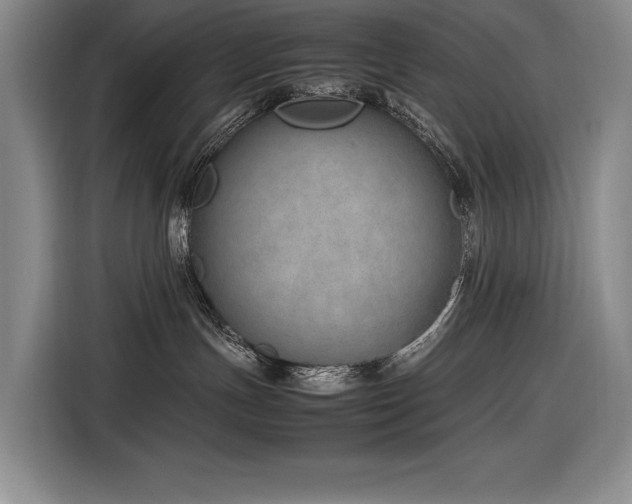 X0000116880191200912221433