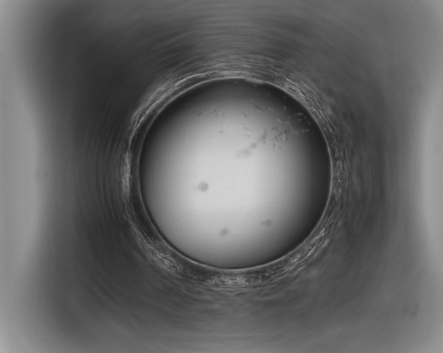 X0000116880194200912221432