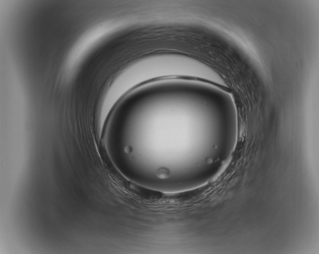 X0000116880195200912221432