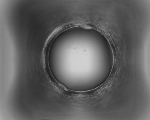 X0000116880197200912221432
