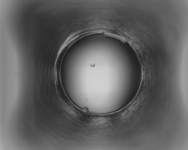 X0000116880198200912221432