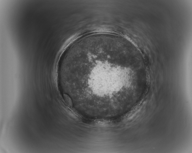X0000116880199200912221432