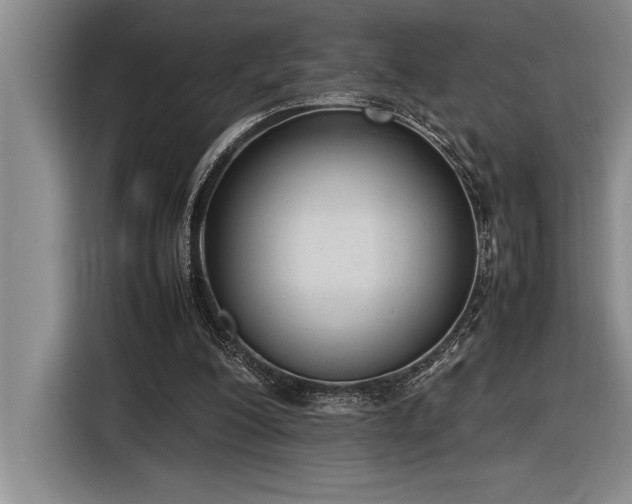 X0000116880200200912221432
