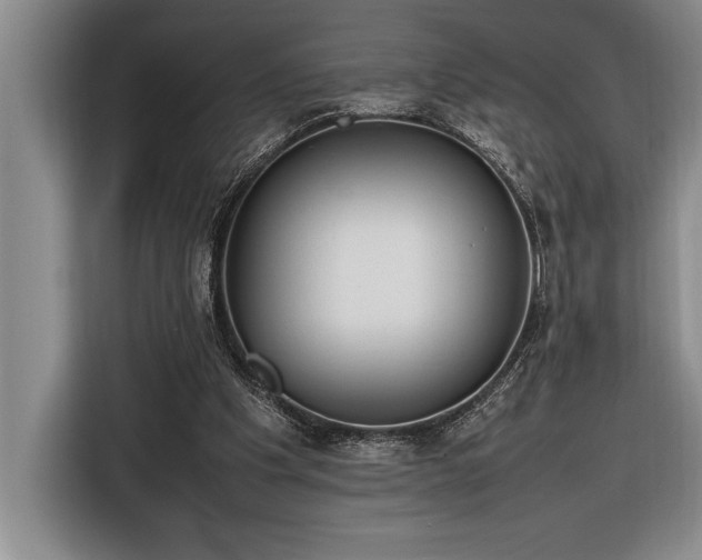 X0000116880201200912221432