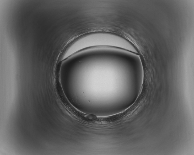 X0000116880203200912221432