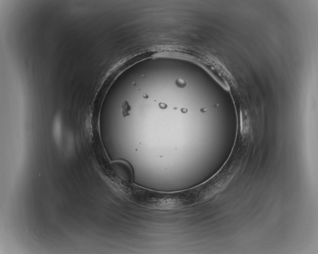 X0000116880204200912221432