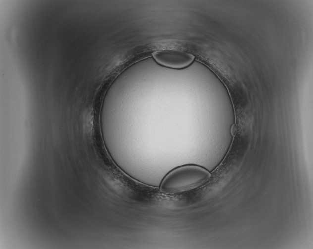 X0000116880207200912221432