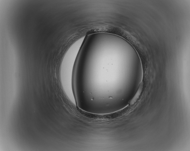 X0000116880209200912221432