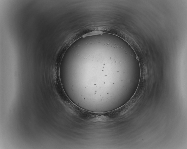 X0000116880210200912221432