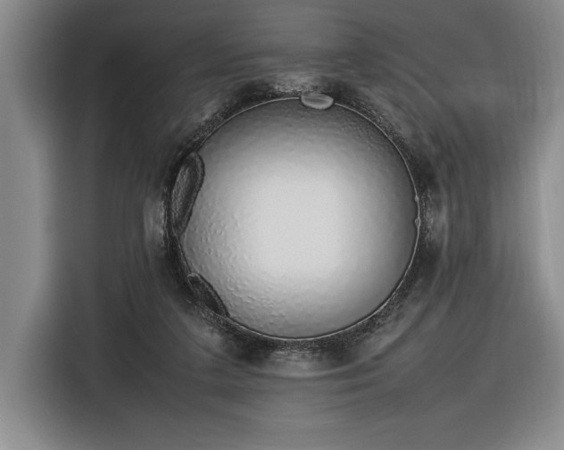 X0000116880211200912221432