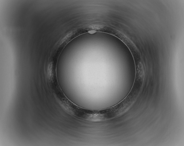 X0000116880212200912221432