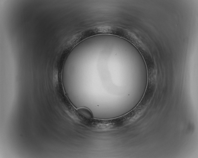 X0000116880213200912221432