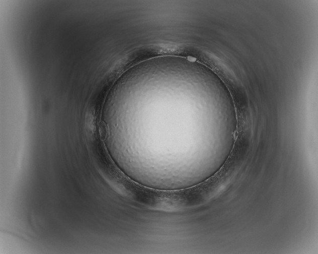 X0000116880215200912221432