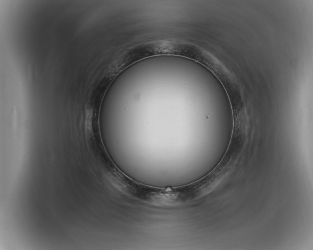 X0000116880217200912221432