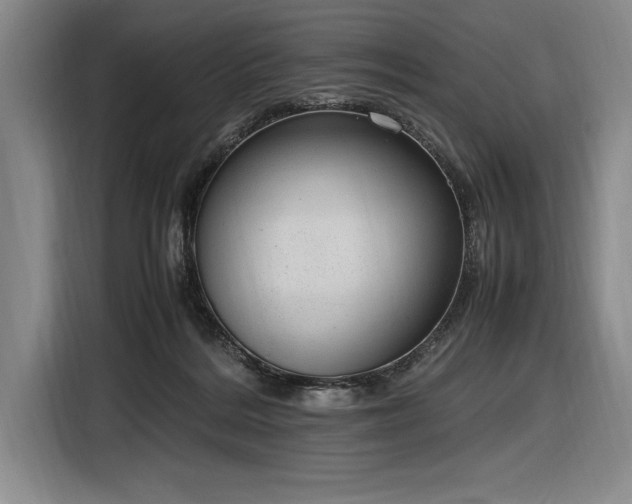 X0000116880220200912221432