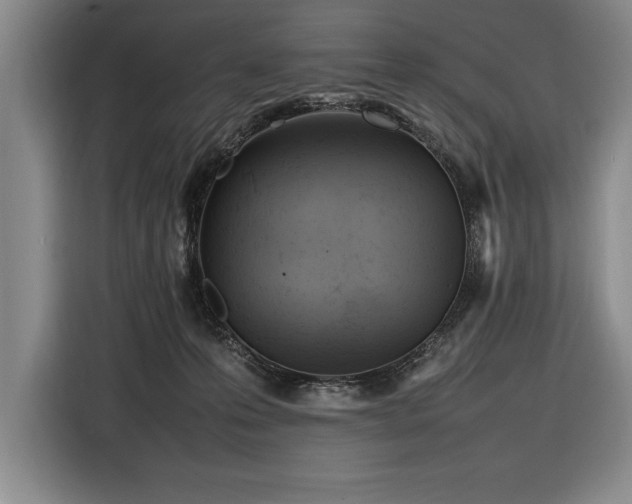 X0000116880223200912221432