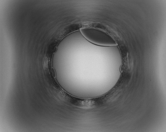 X0000116880225200912221432
