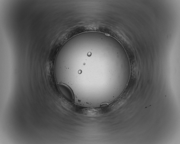 X0000116880229200912221432