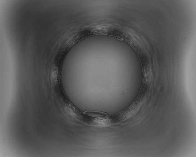 X0000116880231200912221432