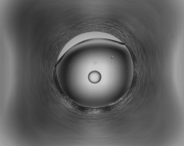 X0000116880235200912221432
