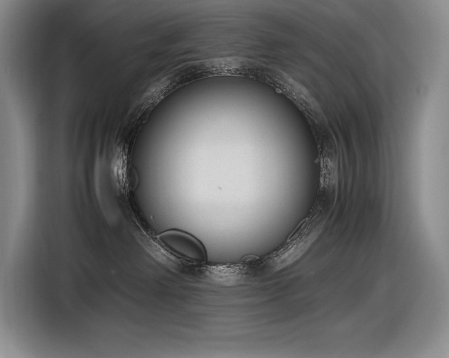 X0000116880238200912221432