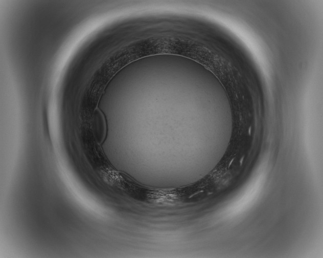 X0000116880239200912221432