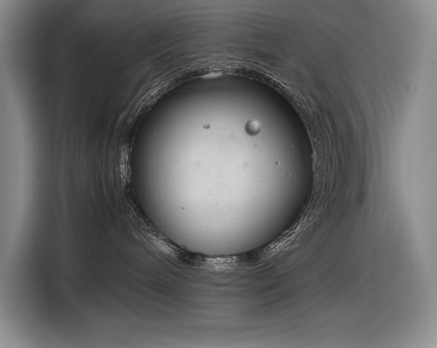 X0000116880240200912221432