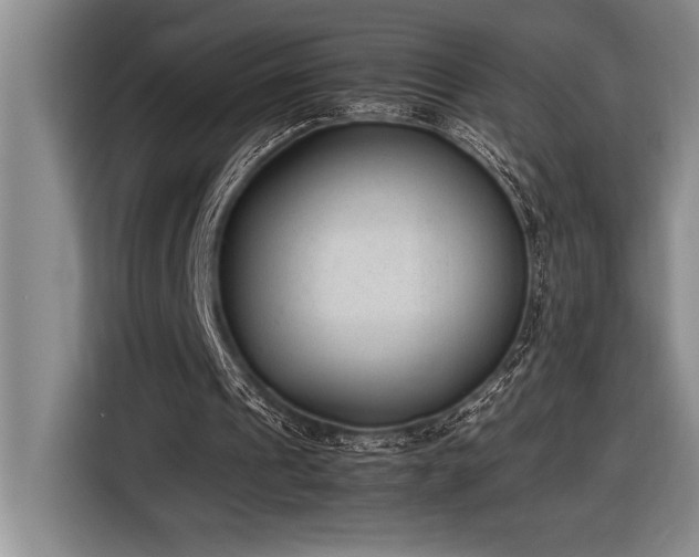 X0000116880241200912221431