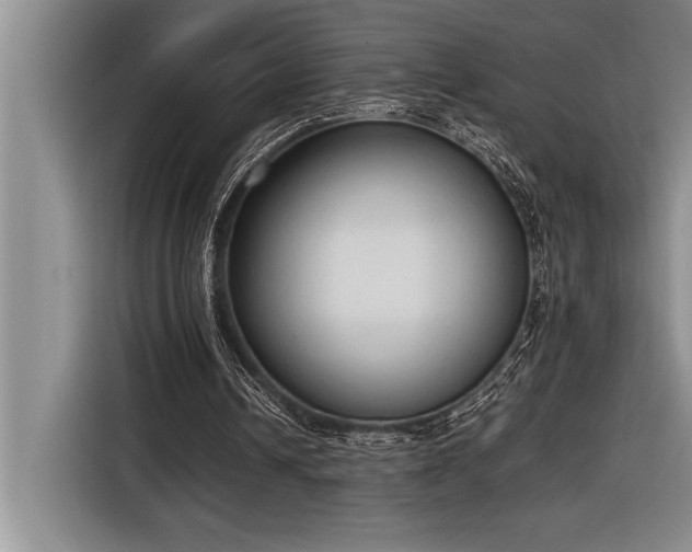 X0000116880242200912221431