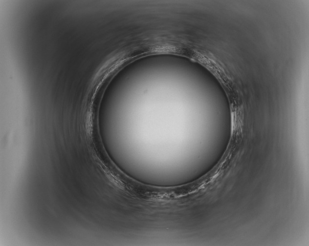 X0000116880243200912221431