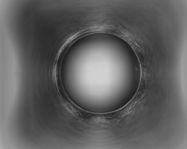 X0000116880244200912221431