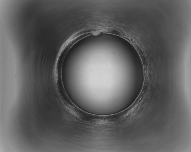 X0000116880246200912221431