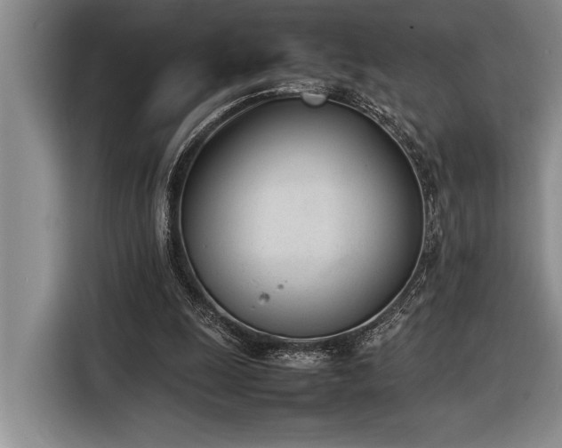 X0000116880247200912221431