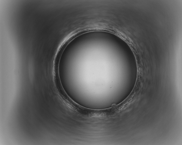 X0000116880248200912221431