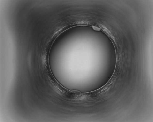 X0000116880249200912221431