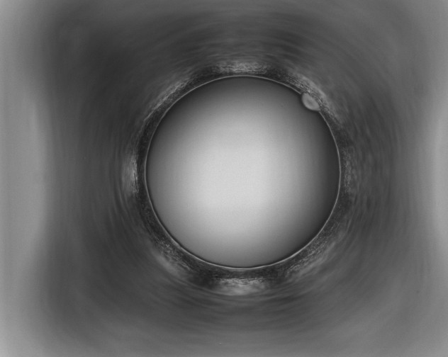 X0000116880251200912221431