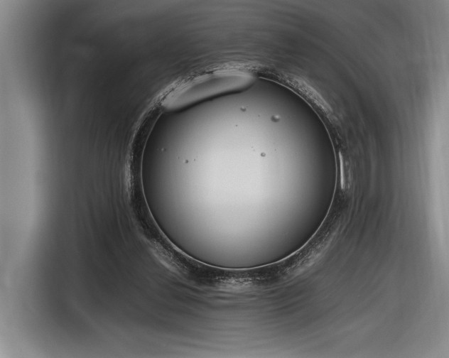 X0000116880252200912221431