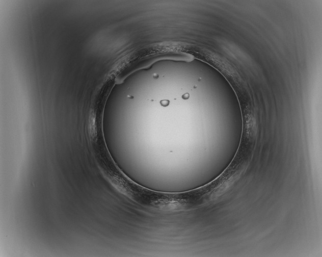 X0000116880254200912221431