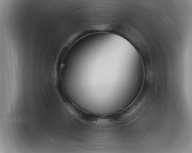 X0000116880256200912221431