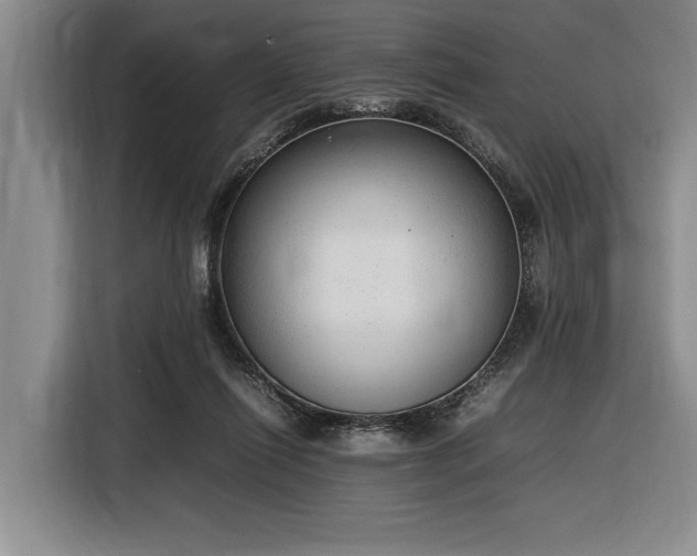 X0000116880262200912221431