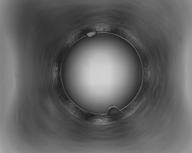 X0000116880263200912221431