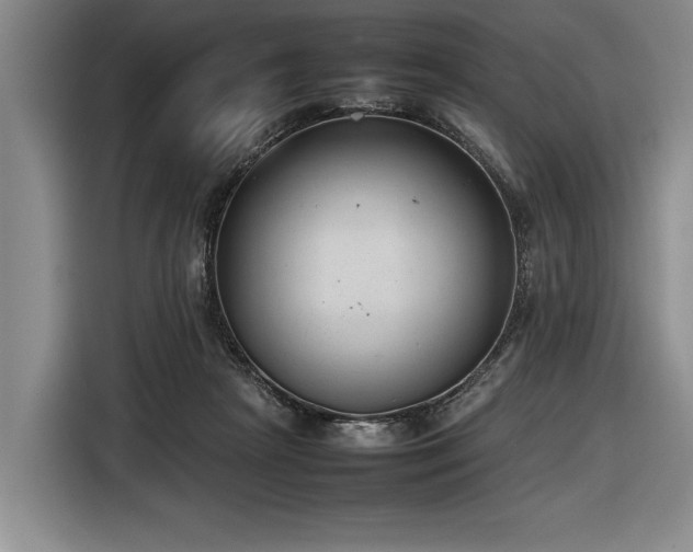 X0000116880265200912221431