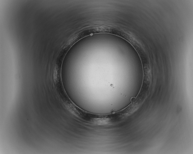 X0000116880266200912221431
