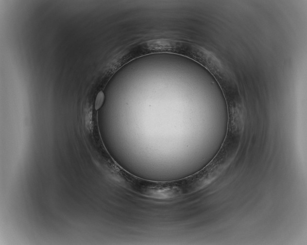 X0000116880267200912221431