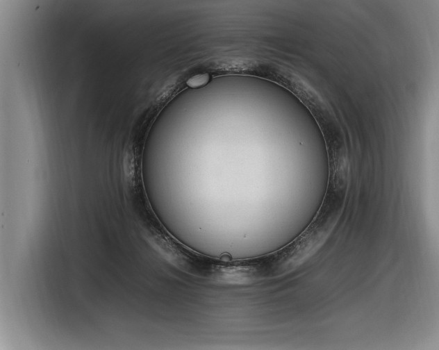 X0000116880268200912221431