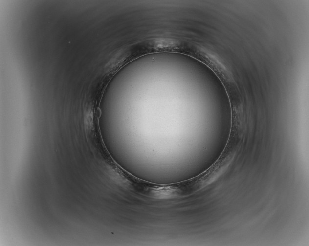 X0000116880269200912221431